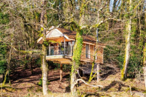 The Tree House - Eco-Friendly, Back to Nature Experience